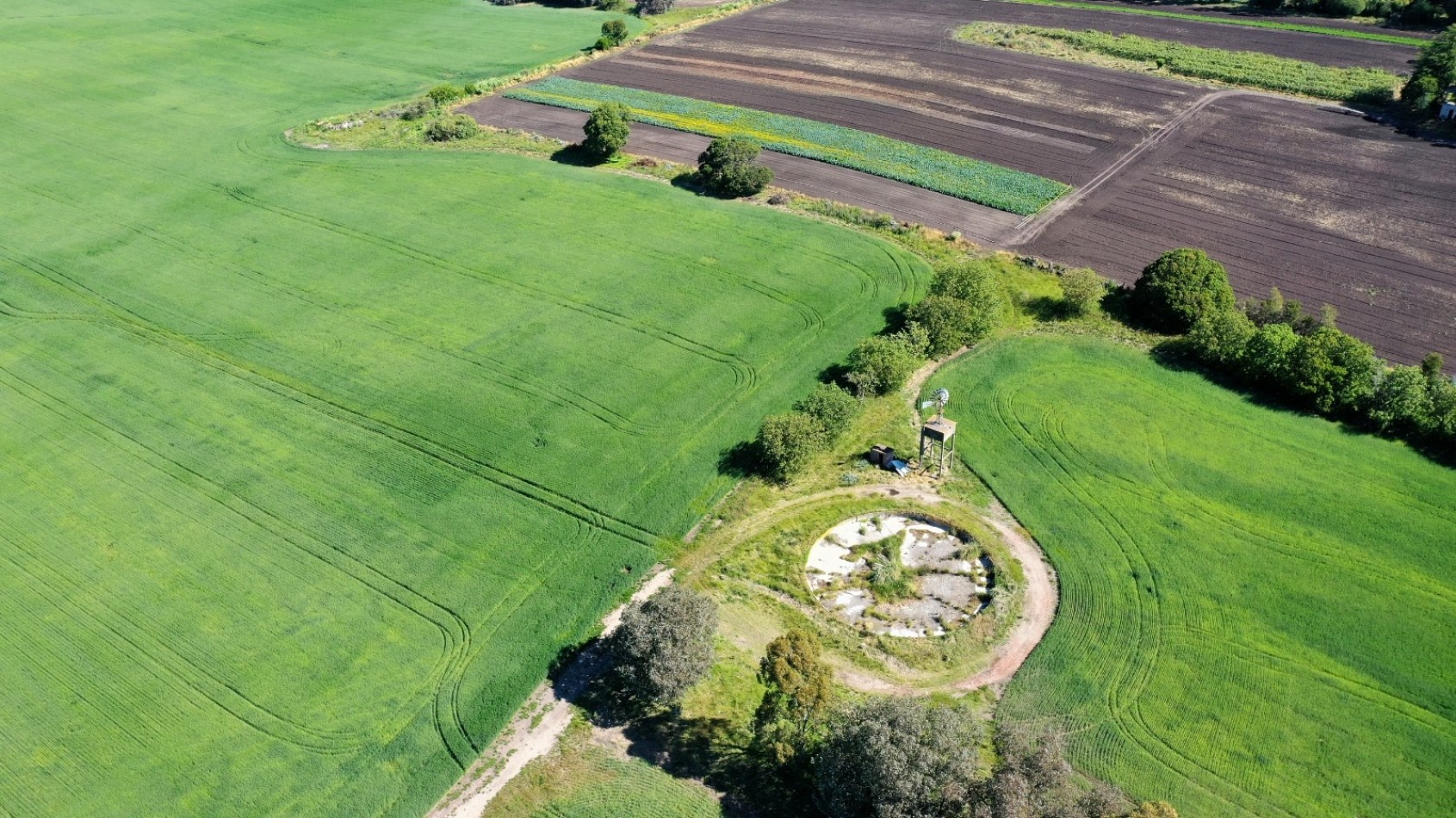 Venta campo agricola 75 HAS batan