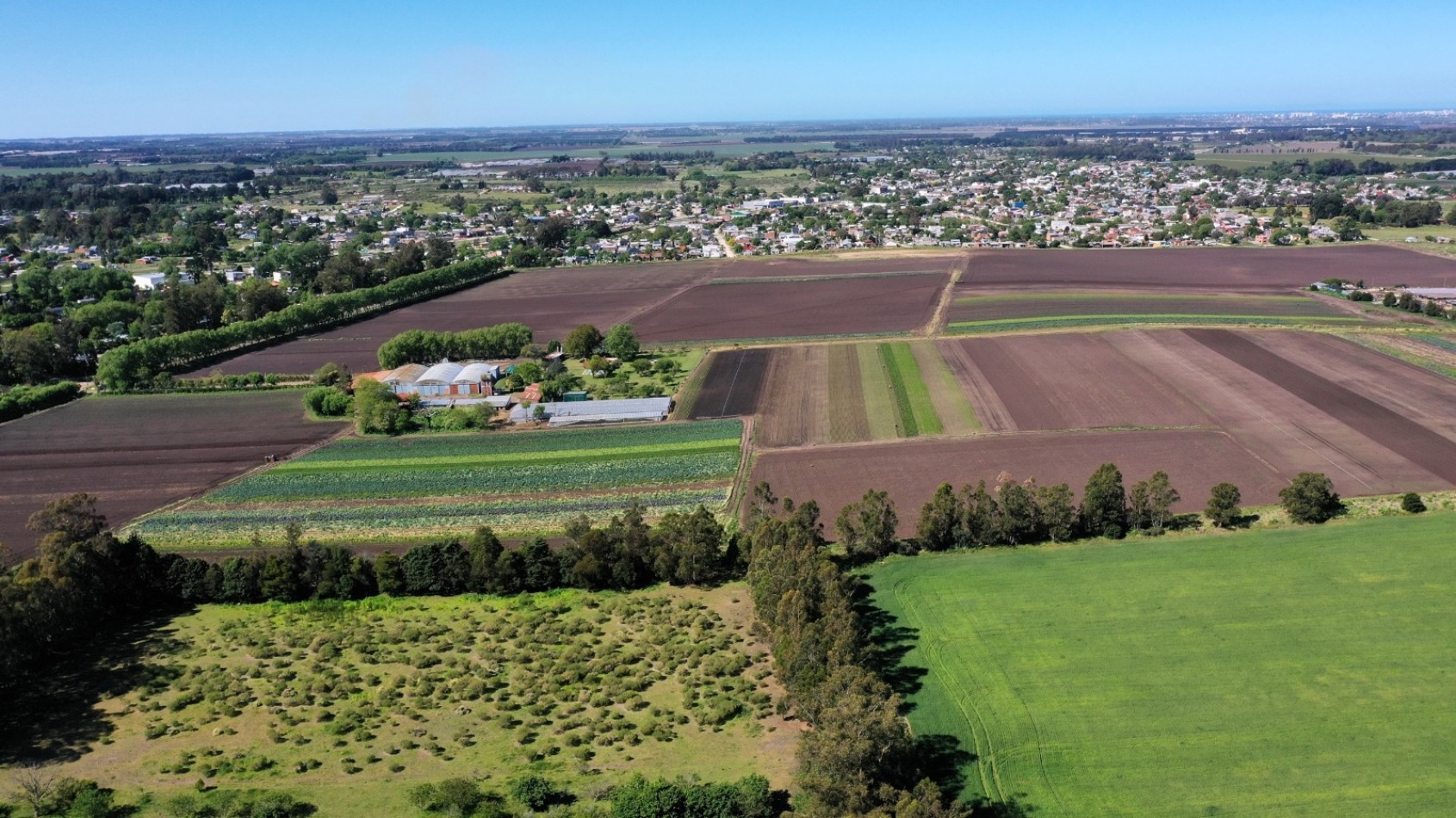 Venta campo agricola 75 HAS batan