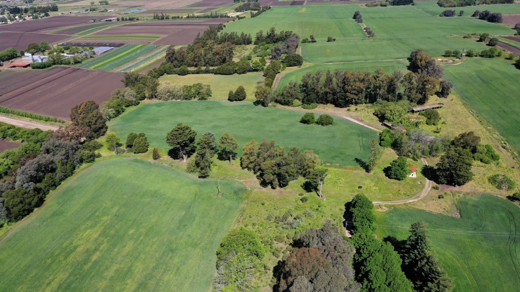 Venta campo agricola 75 HAS batan