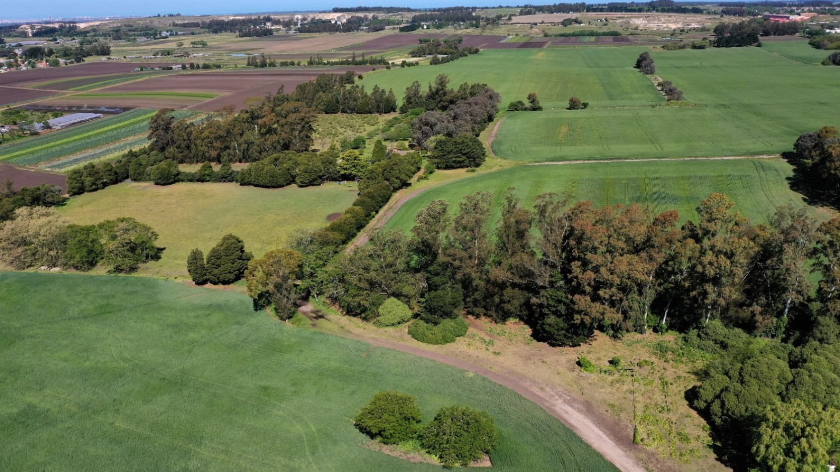 Venta campo agricola 75 HAS batan