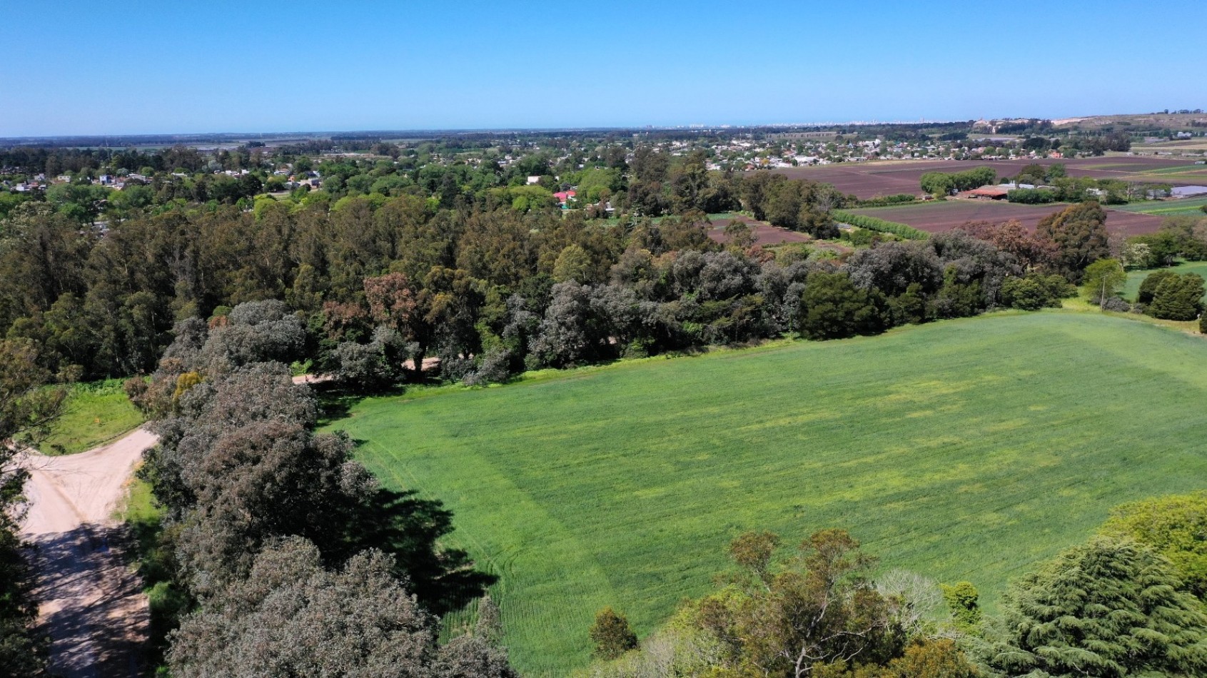 Venta campo agricola 75 HAS batan