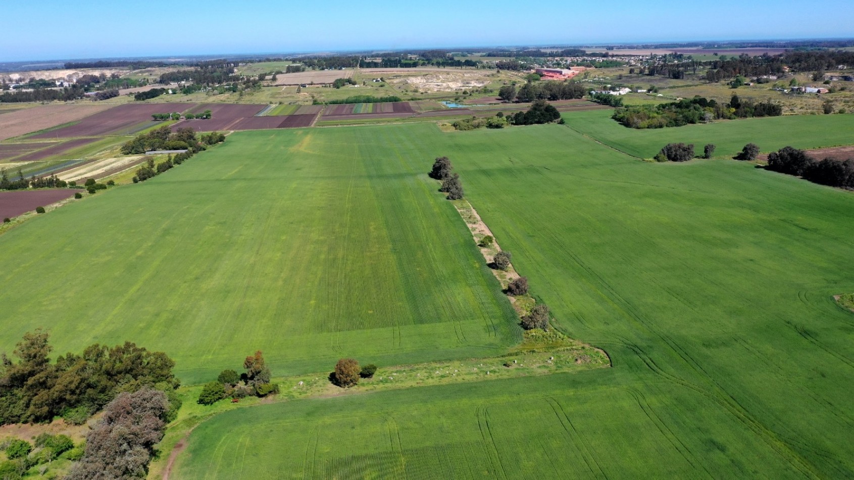 Venta campo agricola 75 HAS batan