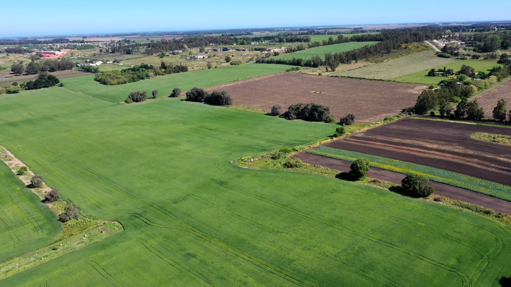 Venta campo agricola 75 HAS batan