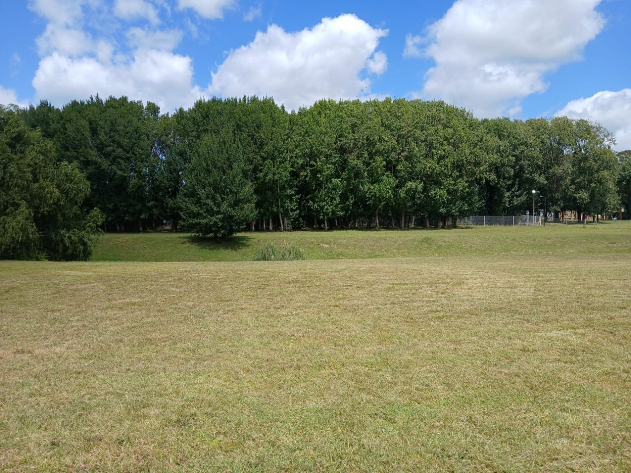 LOTE EN BARRANCAS DE SAN BENITO CON VISTA AL LAGO Y ARBOLADA.