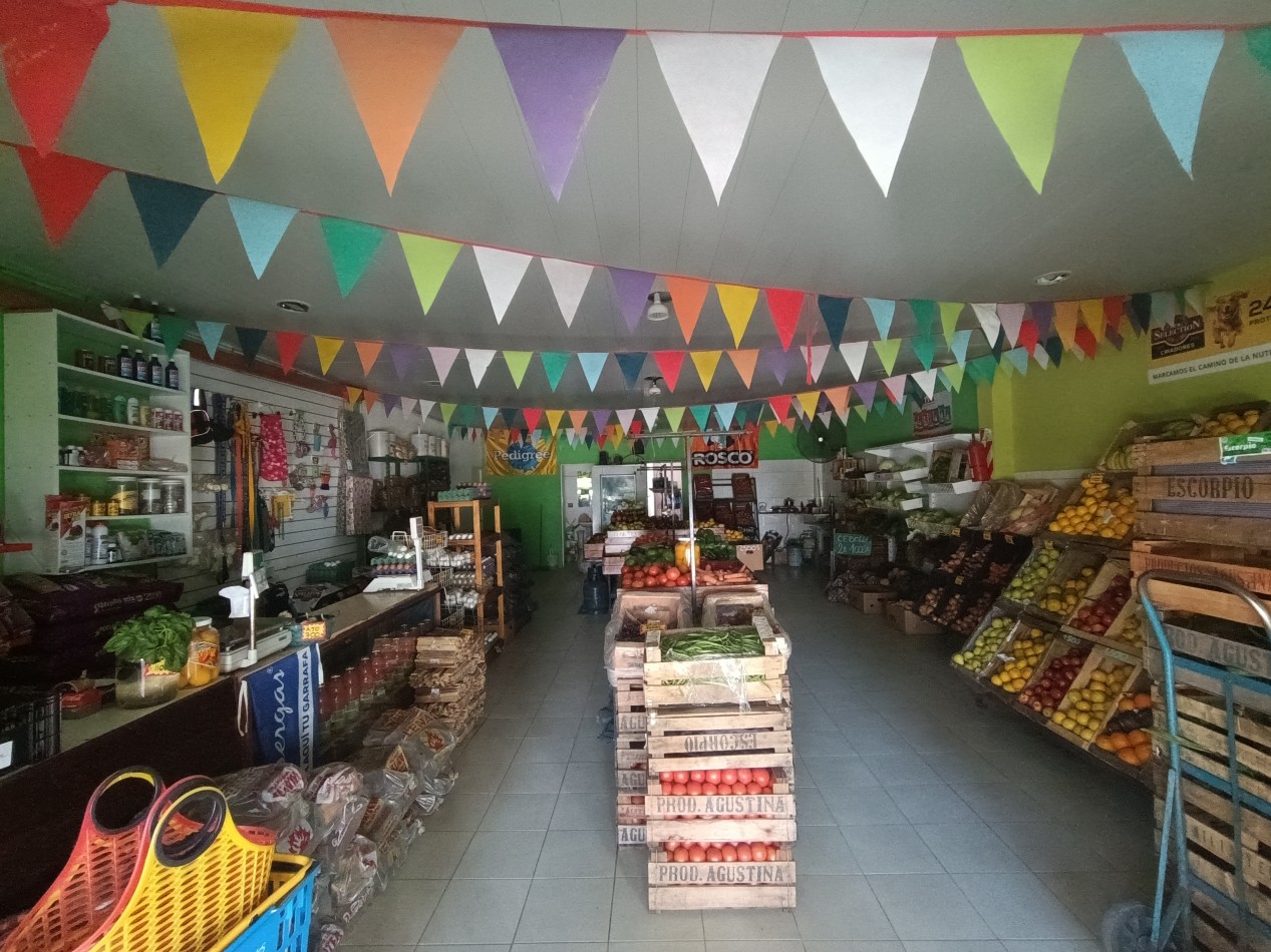 VENTA DOS LOCALES COMERCIALES SOBRE AVENIDA PRINCIPAL BARRIO FELIX CAMET