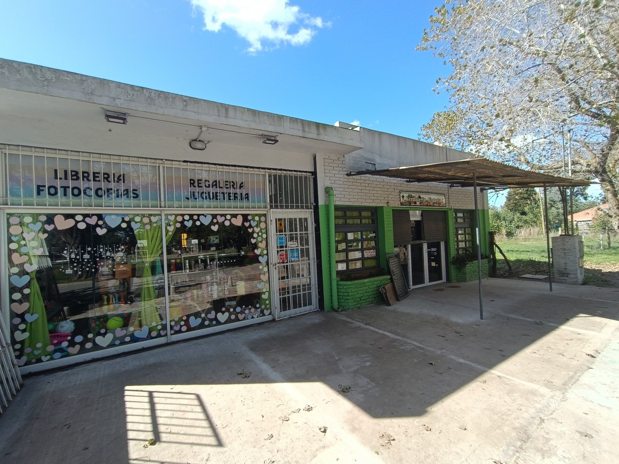 VENTA DOS LOCALES COMERCIALES SOBRE AVENIDA PRINCIPAL BARRIO FELIX CAMET
