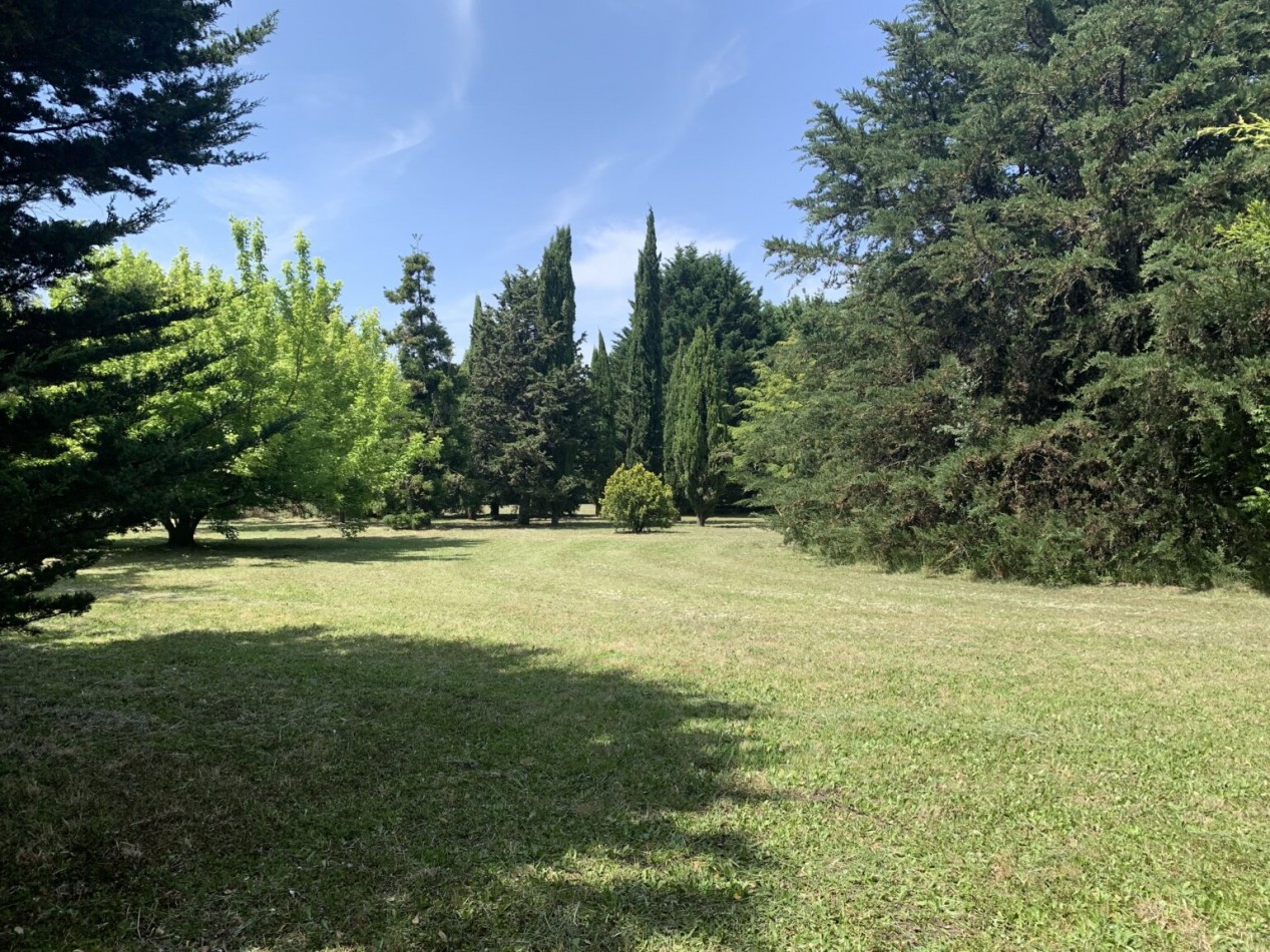 LOTE DE 3138 METROS  EN LOS PINARES DE SANTA CLARA 