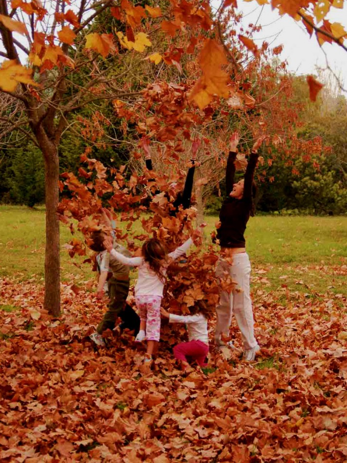 LOTE DE 3138 METROS  EN LOS PINARES DE SANTA CLARA 