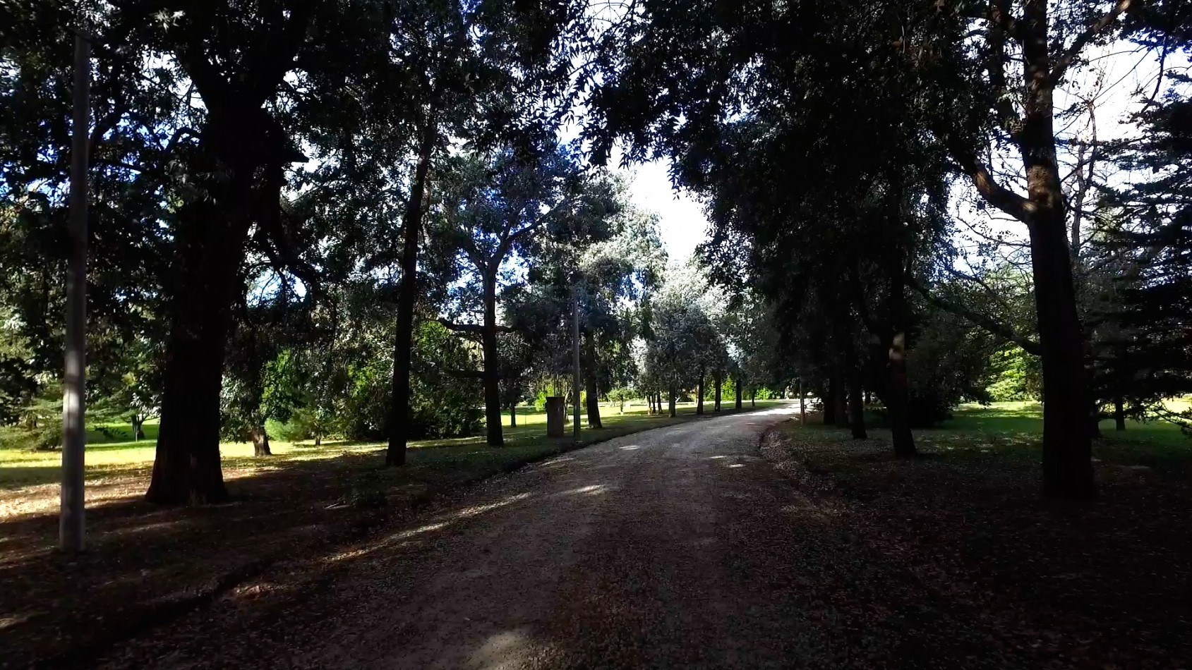 LOTE DE 3138 METROS  EN LOS PINARES DE SANTA CLARA 