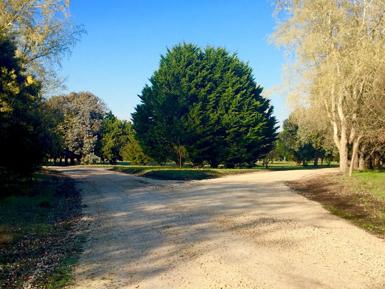 LOTE DE 3138 METROS  EN LOS PINARES DE SANTA CLARA 