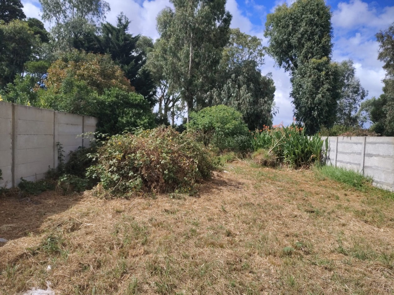 Lote barrio las Margaritas 