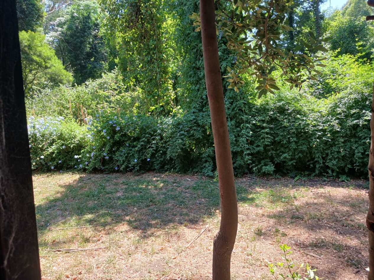 Venta casa 3 ambientes a estrenar, Bosque Peralta Ramos