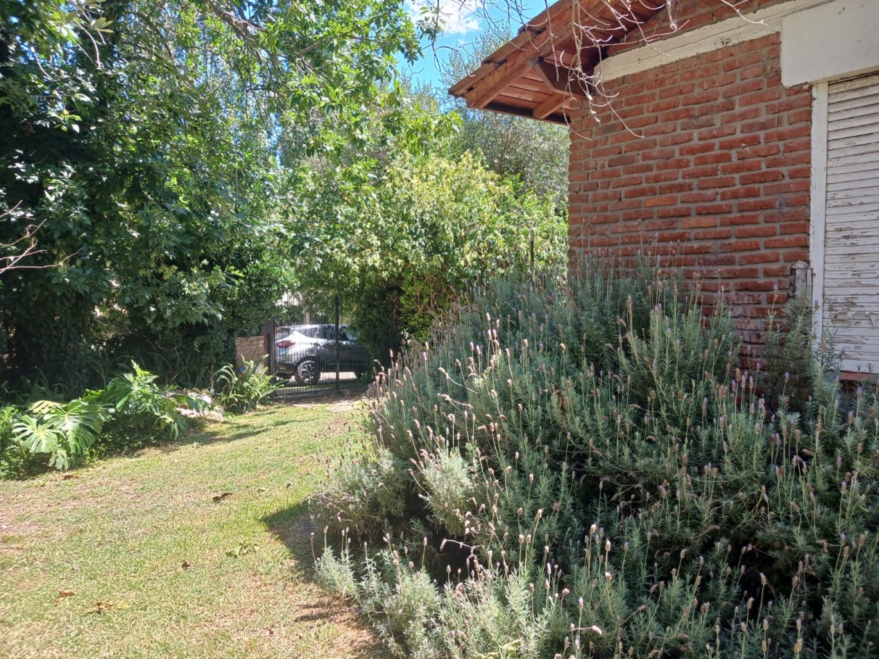 Venta Casa 4 ambientes, con gran parque, Bosque Peralta Ramos
