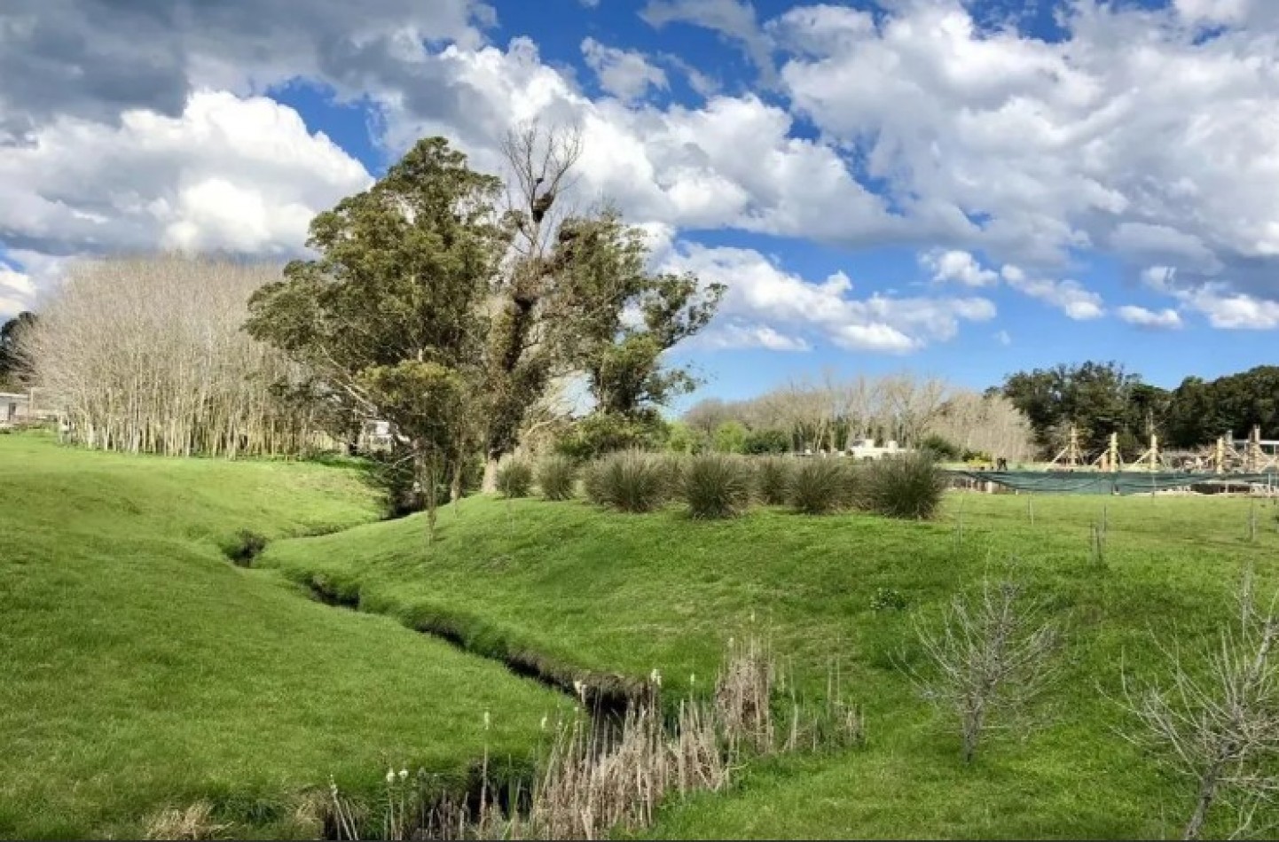 TERRENO / LOTE EN BARRANCAS DE SAN BENITO CON VISTA AL LAGO Y ARBOLADA.