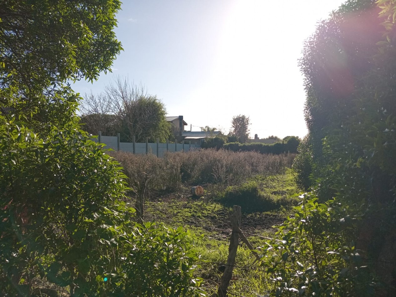 TERRENO EN SAN CARLOS /ZONA SUR A 150 M DE LA COSTA