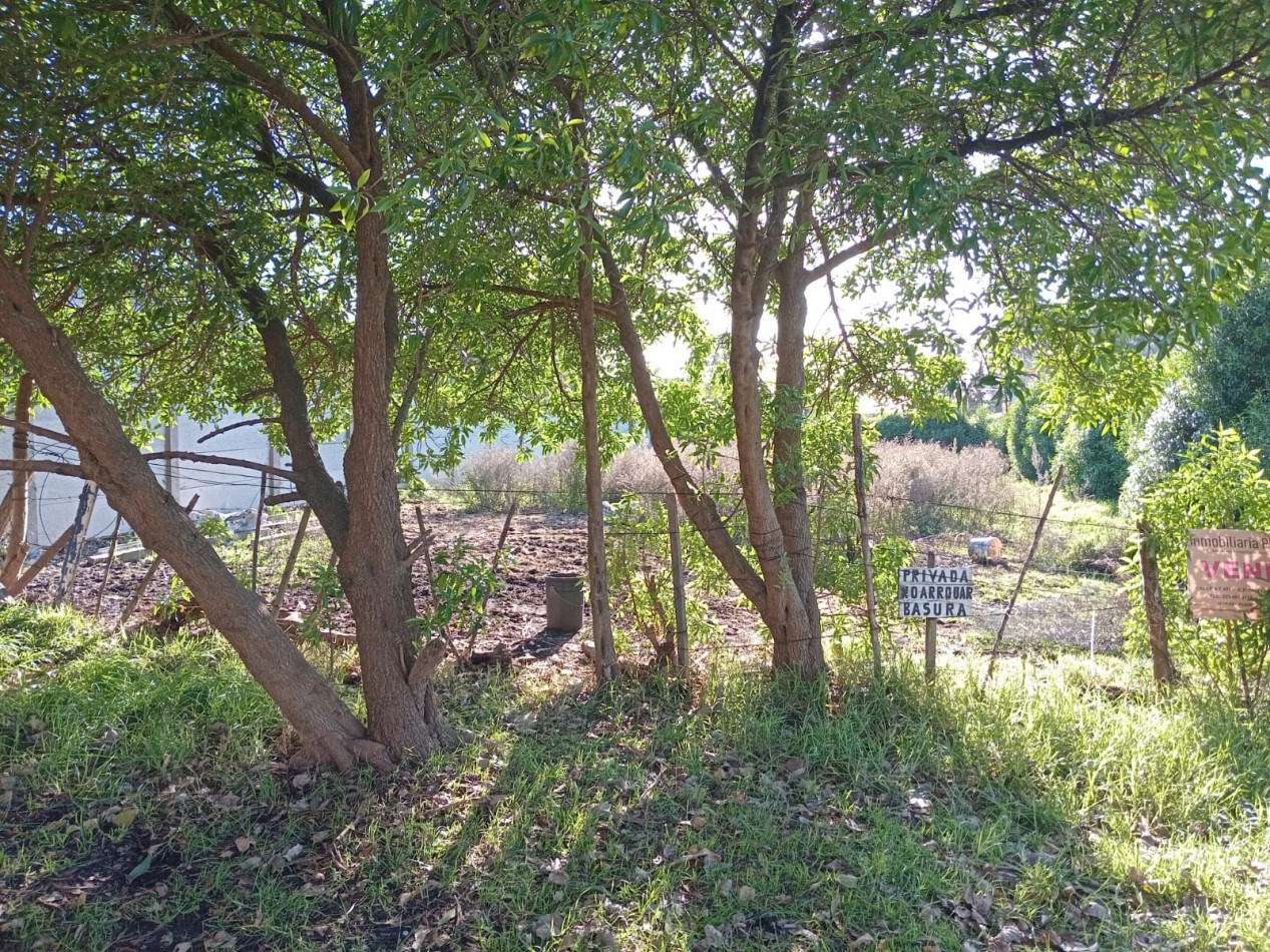 TERRENO EN SAN CARLOS /ZONA SUR A 150 M DE LA COSTA