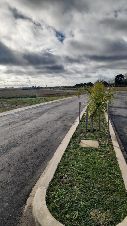 VENTA LOTE BARRIO DEVELOPER AQUA 927 MTS SECTOR LAGUNA