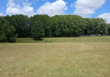 LOTE EN BARRANCAS DE SAN BENITO CON VISTA AL LAGO Y ARBOLADA.