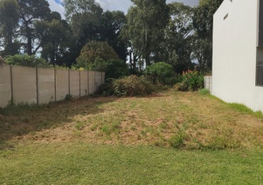 Lote barrio las Margaritas 